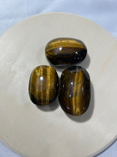 Tigers Eye Palms