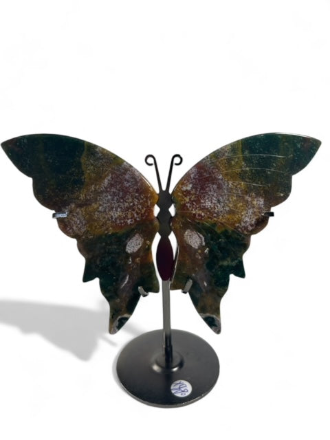 Ocean Jasper Wings